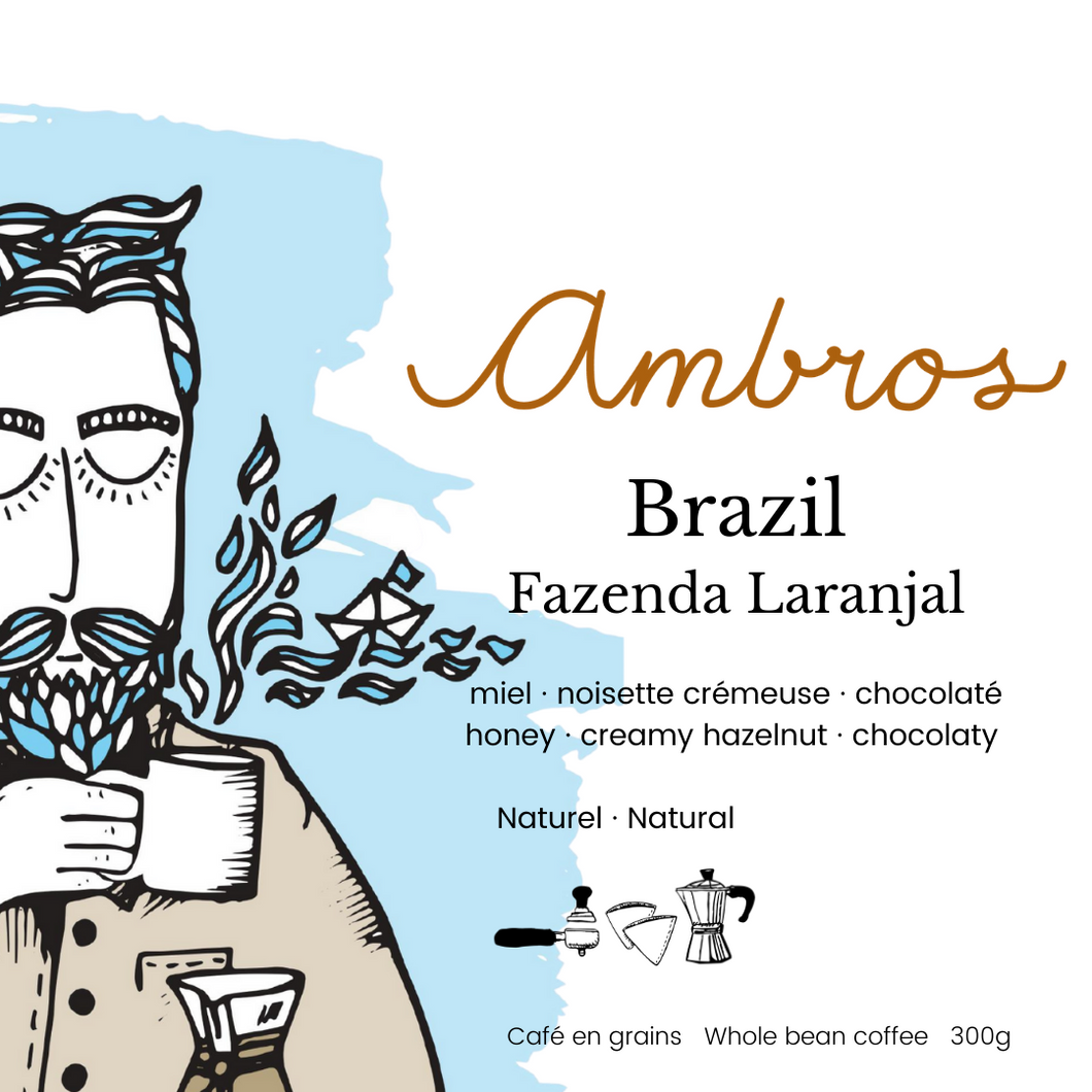Brésil - Fazenda Laranjal