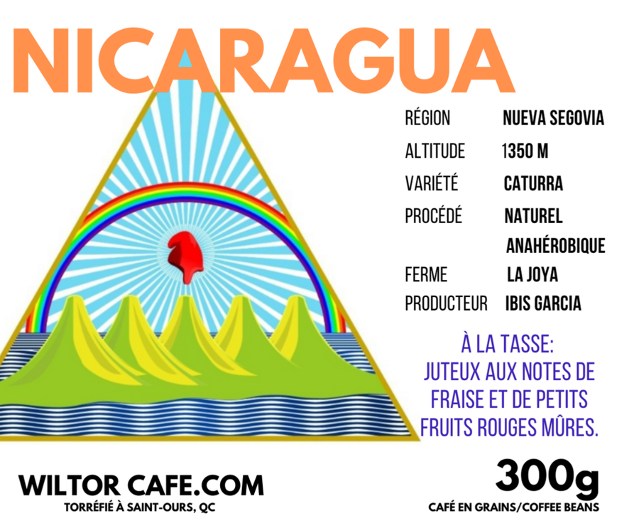 Nicaragua anahérobique 12oz