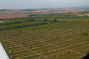 Daterra Espresso